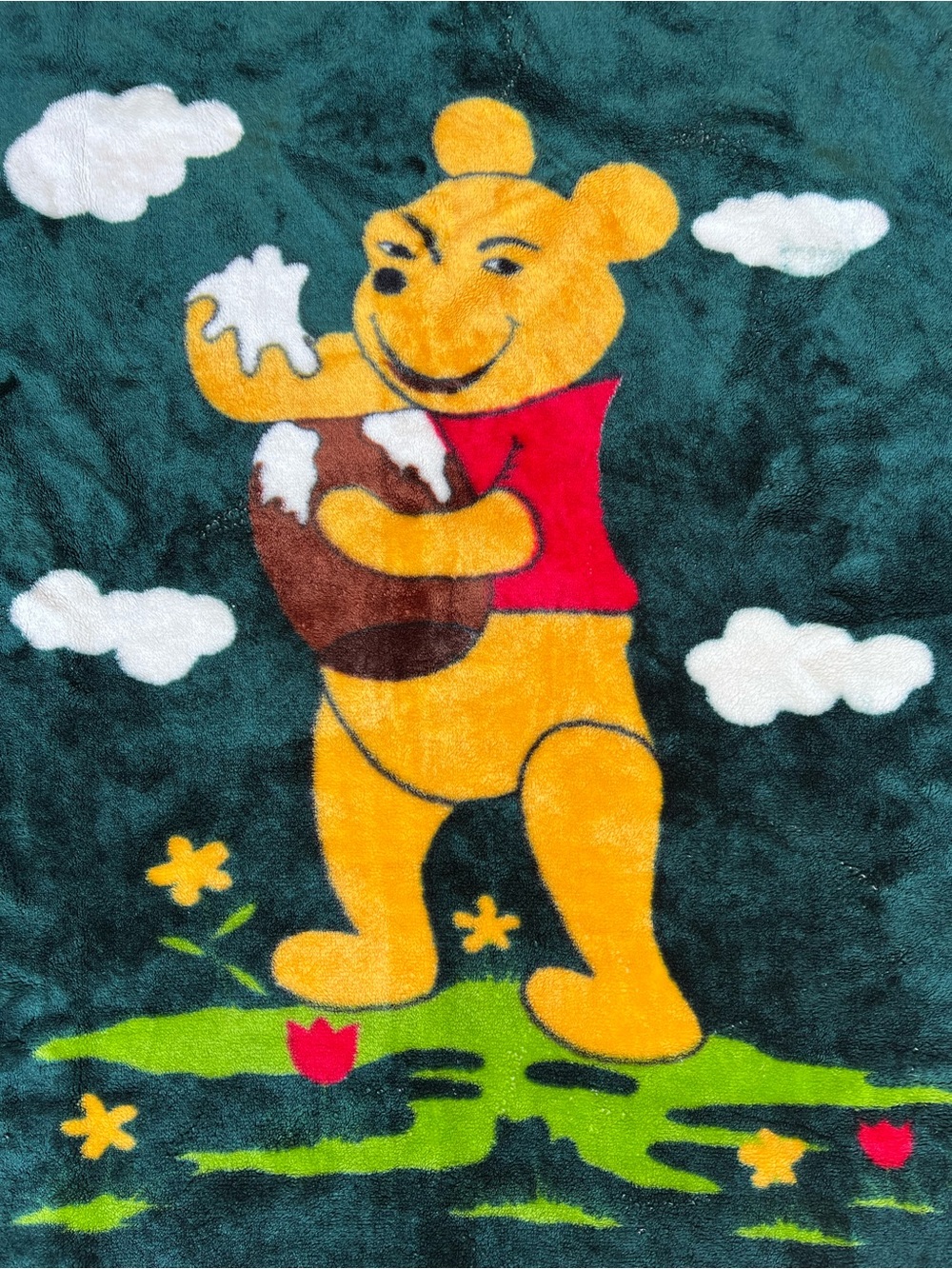 VTG Rare Winnie the Pooh Minky Honey Pot Clouds Flowers Green Blanket 53x42” - Picture 3 of 7